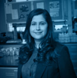 Advisory Board Member: Alpa Patel