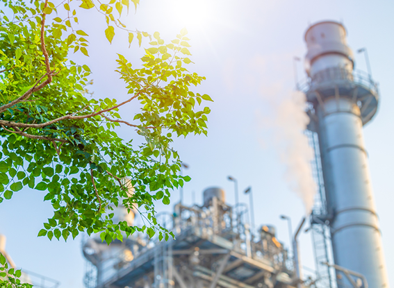 Green leaves in bright sunlight contrast with an industrial plant in the background, emitting steam, symbolizing the clash of nature and industry.